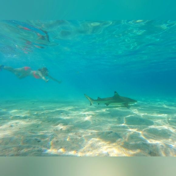 Meet your Posher, Vanessa - Picture 1 of 1